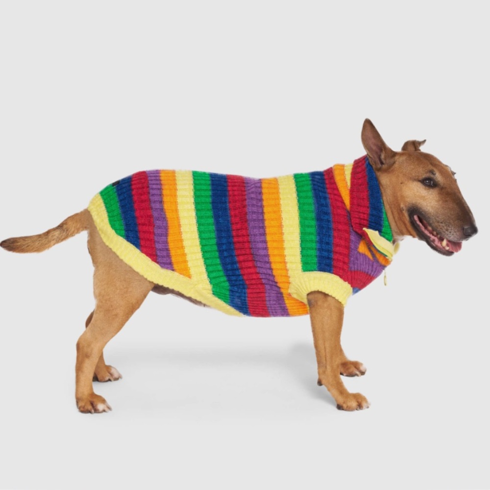 CANADA POOCH Colorful Striped Dog Sweater OVER THE RAINBOW